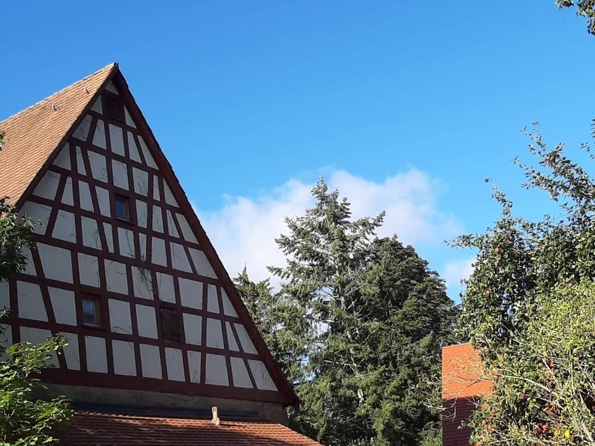 Ferienwohnung Kunst Und Kulturschuppen Hasenmuehle Kammerstein Luaran gambar